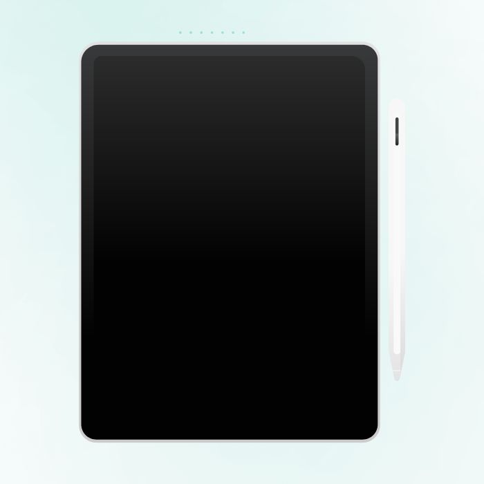 Edufu Tablet
